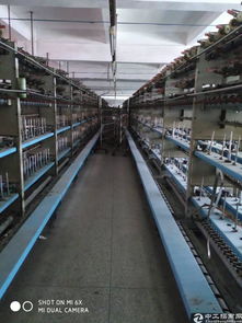 大朗原房東紡紗廠10000平方廠房帶設(shè)備出租 紡織產(chǎn)業(yè)升級(jí)新機(jī)遇